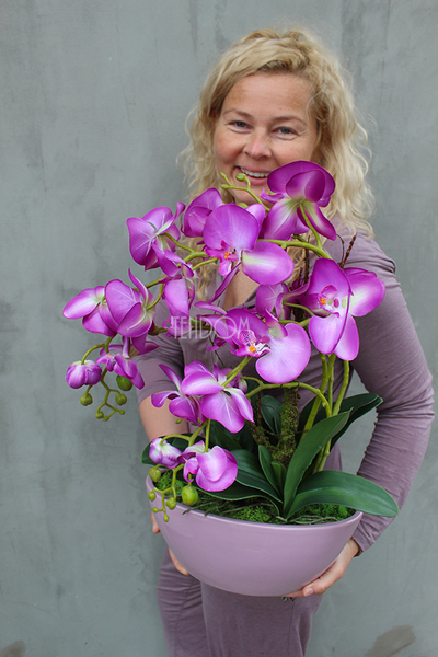 Ballano storczyk w różowej podłużnej donicy, wys.50cm