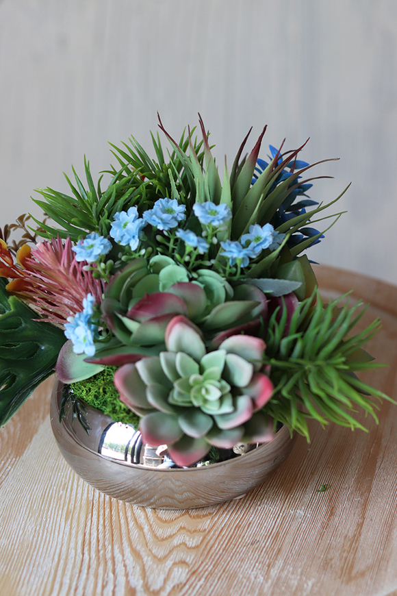 Kelona, kompozycja sukulenty w okrągłej lustrzanej donicy, wys.17cm