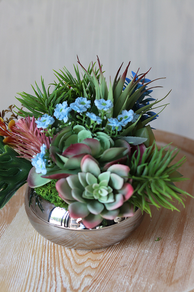 Kelona, kompozycja sukulenty w okrągłej lustrzanej donicy, wys.17cm