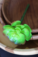 gumowa sztuczna roślina, Sukulent 16,wym.10x20cm