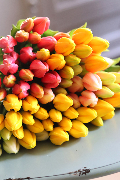 bukiet tulipanów silikonowych, Genotte Yellow, 9szt. dł.29cm