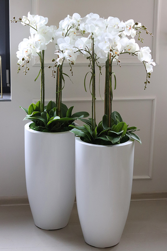 Fiberglass Grande Simple White, efektowny storczyk w białej donicy z fiberglass, wys.118cm 