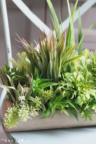 kompozycja sukulenty w długiej donicy, Hektor B, dł.48cm