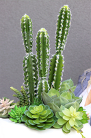 Esperanza Cacti Fiberglass, sukulenty z kaktusem w białej donicy, wys.70cm