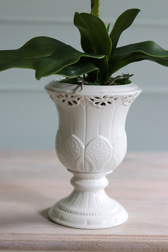 Palotta B, elegancki storczyk w białym pucharze, wys.71cm