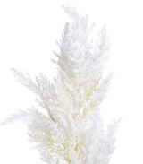 sztuczna trawa pampasowa do wazonu