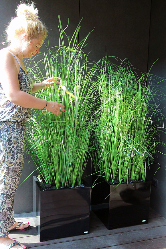 kompozycja Trawy Macarena w sześciennej czarnej donicy, wys.140cm 