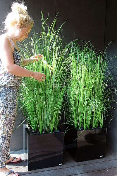 kompozycja Trawy Macarena w sześciennej czarnej donicy, wys.140cm 