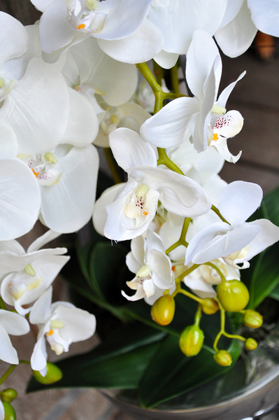 ogromny storczyk w aluminiowej donicy Palazzo wys.110cm