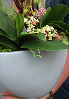 elegancki sztuczny storczyk, Terrana, wys.70cm