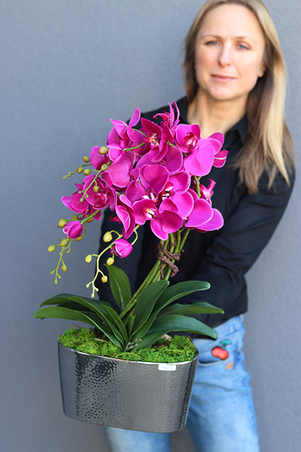 Debora Fuksja 2, storczyk w srebrnej ceramicznej donicy glamour, wys.58cm