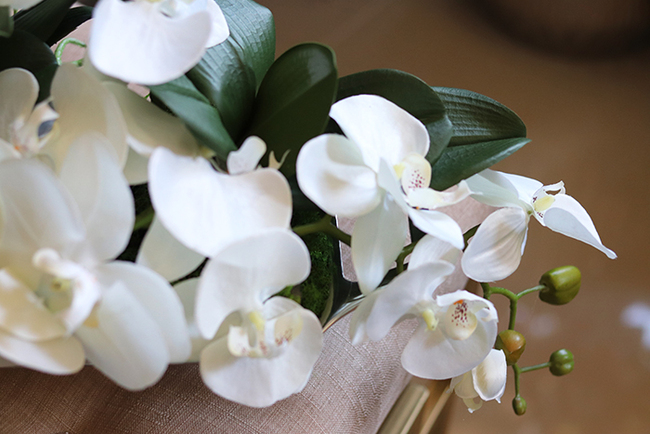 Dekoria Hanoi, storczyk kompozycja kwiatowa w podłużnym naczyniu, dł.57cm