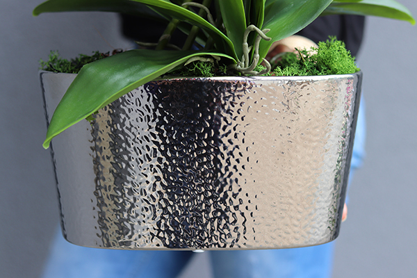 Silver Nerruna Pink efektowny storczyk w srebrnej donicy, wys.60cm