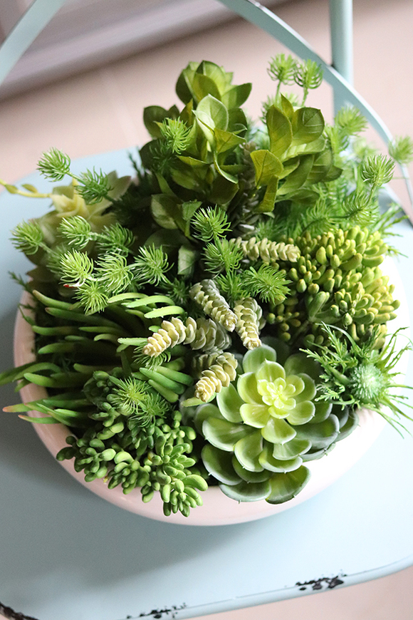 Gerrano, kompozycja sukulenty w białej misie, wys.25cm