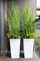 kompozycja Trawy Anna w białej donicy,  wys.160cm 