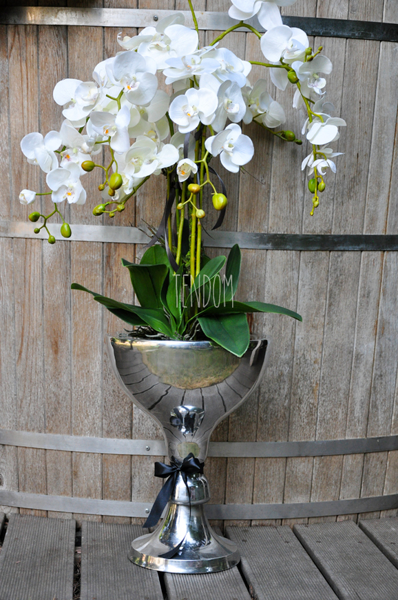 ogromny storczyk w aluminiowej donicy Palazzo wys.110cm
