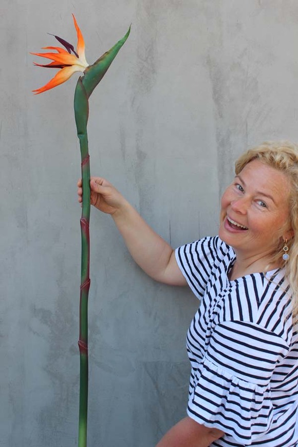 Strelicja w kolorze pomarańczowym, gałązka, 1szt, dł.115cm 