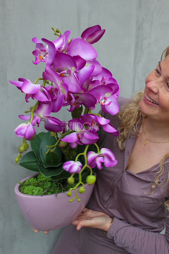 Ballano storczyk w różowej podłużnej donicy, wys.50cm