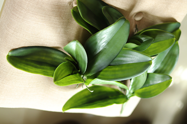 gumowe liście orchidei, 1szt, dł.28cm 