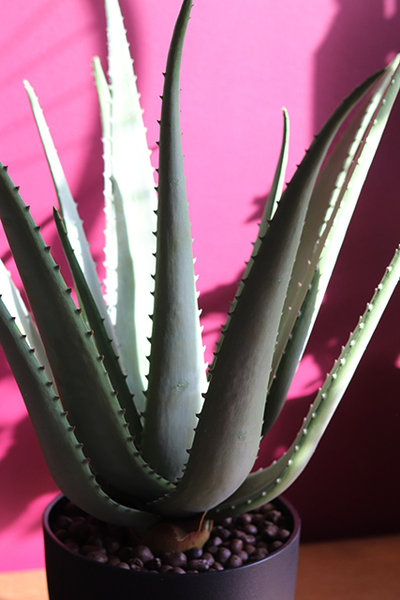 wieczny aloes doniczkowy, sztuczna roślina / sukulent, wys.54cm