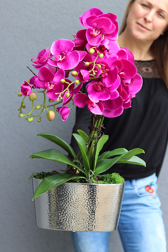 Silver Nerruna Pink efektowny storczyk w srebrnej donicy, wys.60cm