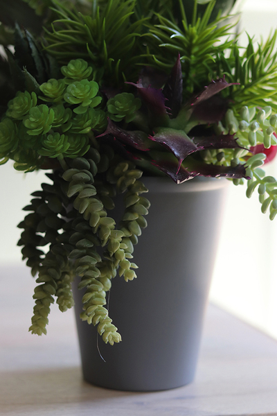 Grey New, kompozycja sukulenty w szarym naczyniu, wys.40cm