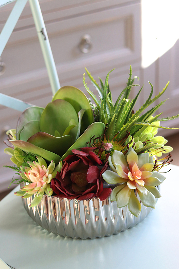 Silver Teman, wysokiej jakości sukulenty w lustrzanym naczyniu, wys.24cm