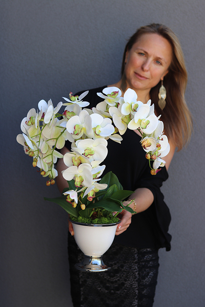 gumowy storczyk w biało - srebrnym pucharze, Terania, wys.50cm