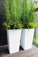 kompozycja Trawy Anna w białej donicy,  wys.160cm 