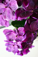 ładny storczyk sztuczny Silver Violet, wys.63cm 