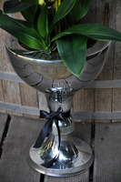 ogromny storczyk w aluminiowej donicy Palazzo wys.110cm