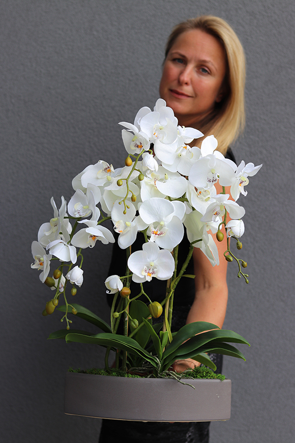 sztuczny storczyk Manfredo w szarej, matowej donicy, wys.67cm