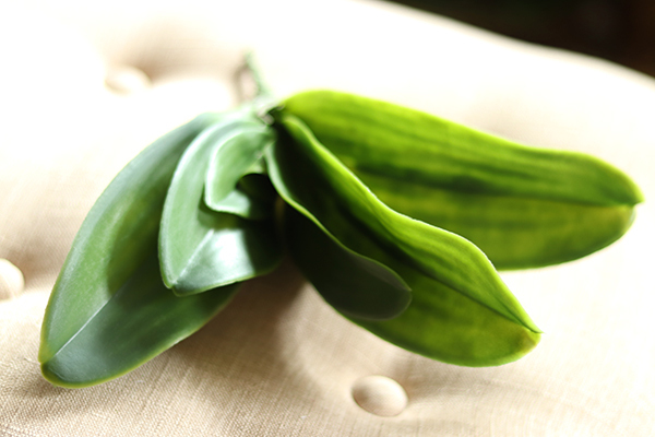 gumowe liście orchidei, 1szt, dł.28cm 