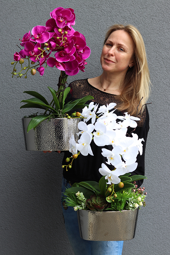 Silver Nerruna Pink efektowny storczyk w srebrnej donicy, wys.60cm