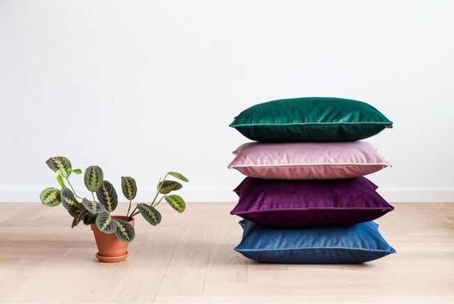 poduszka dekoracyjna welurowa, Velvetia, fiolet, wym.50x50cm