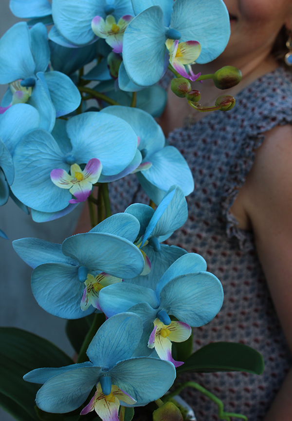 Blue Selenia, turkusowy storczyk w białej donicy, wys.60cm