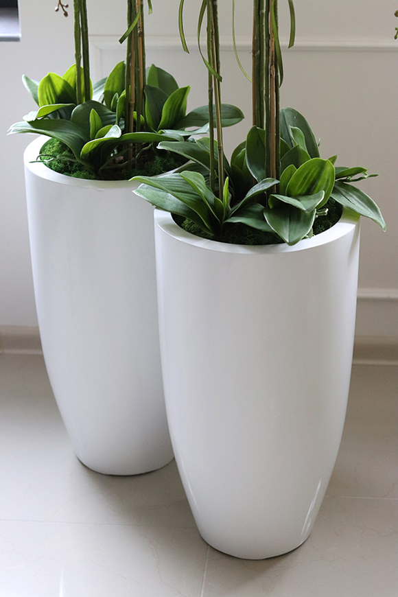 Fiberglass Grande Simple White, efektowny storczyk w białej donicy z fiberglass, wys.118cm 