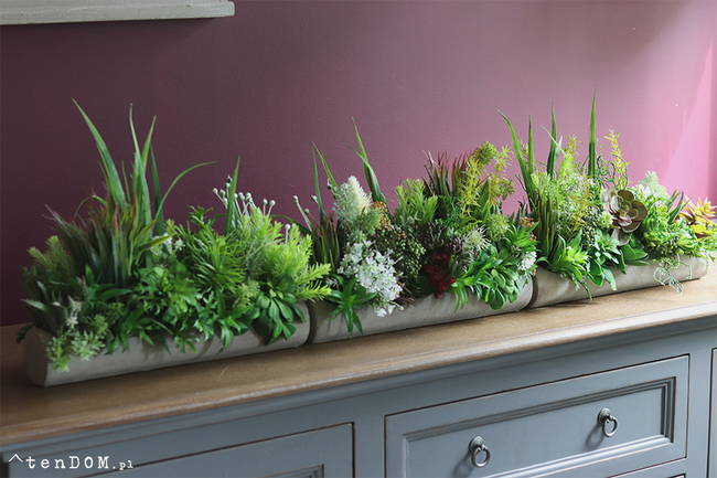 kompozycja sukulenty w długiej donicy, Hektor B, dł.48cm