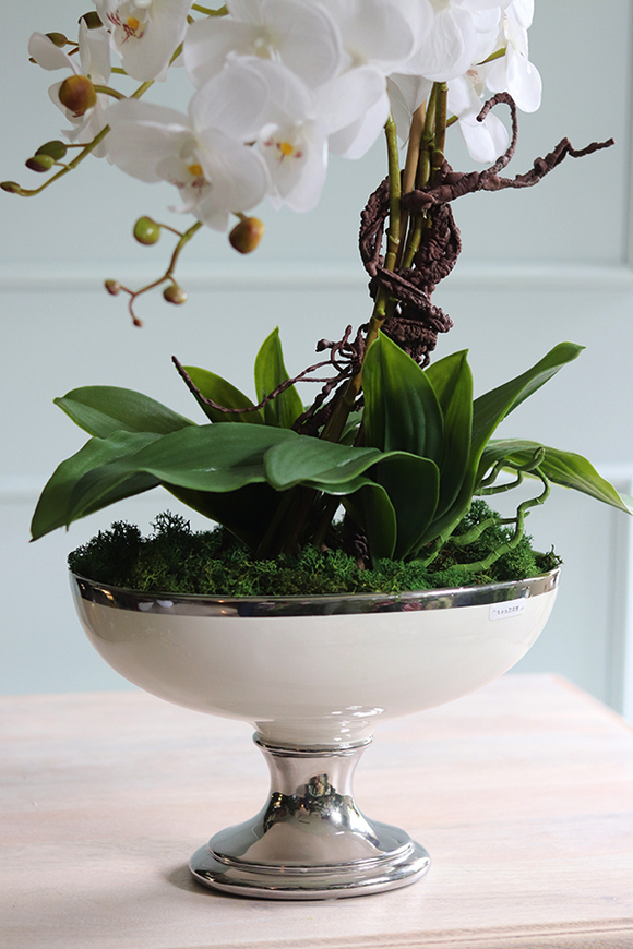 Helioso, elegancki storczyk w białym pucharze glamour, wys.67cm