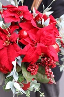 Gwiazda Betlejemska Red in Red, świąteczna kompozycja, wys.48cm