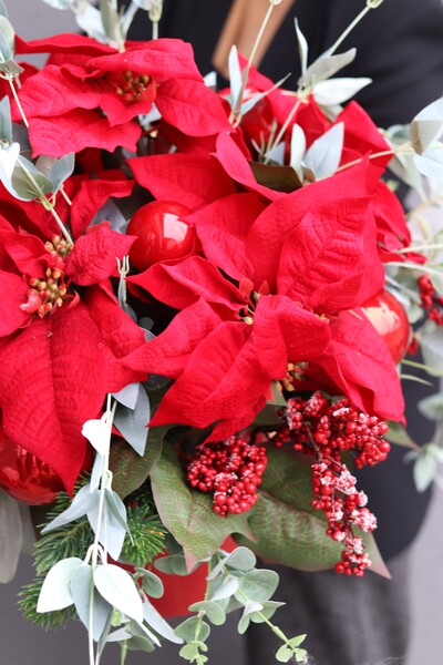 Gwiazda Betlejemska Red in Red, świąteczna kompozycja, wys.48cm