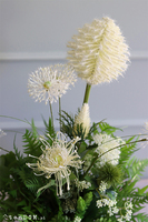 Titika, zielona kompozycja w czarnej donicy, wys.54cm