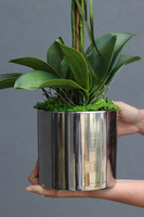 Pink&Silver, elegancki storczyk glamour w lustrzanym naczyniu, wys.67cm