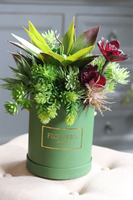 Alberto, flowerbox z sukulentów w zielonym pudełku, wys.36cm