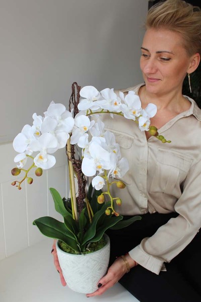 niezwykle elegancki, sztuczny storczyk Ranello, wys.65cm