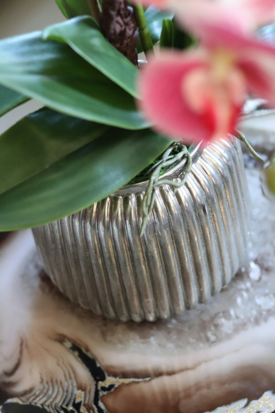 efektowny różowy storczyk w srebrnej donicy, Taona, wys.54cm 