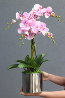 Pink&Silver, elegancki storczyk glamour w lustrzanym naczyniu, wys.67cm