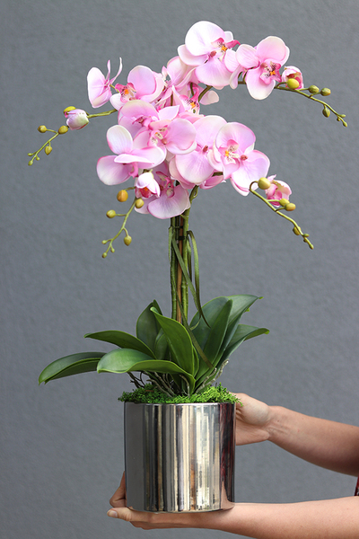 Pink&Silver, elegancki storczyk glamour w lustrzanym naczyniu, wys.67cm