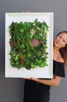 atrakcyjna jednostronna rama Hotels Sukulenty 2, wym.77x57cm