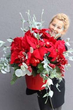 Gwiazda Betlejemska Red in Red, świąteczna kompozycja, wys.48cm